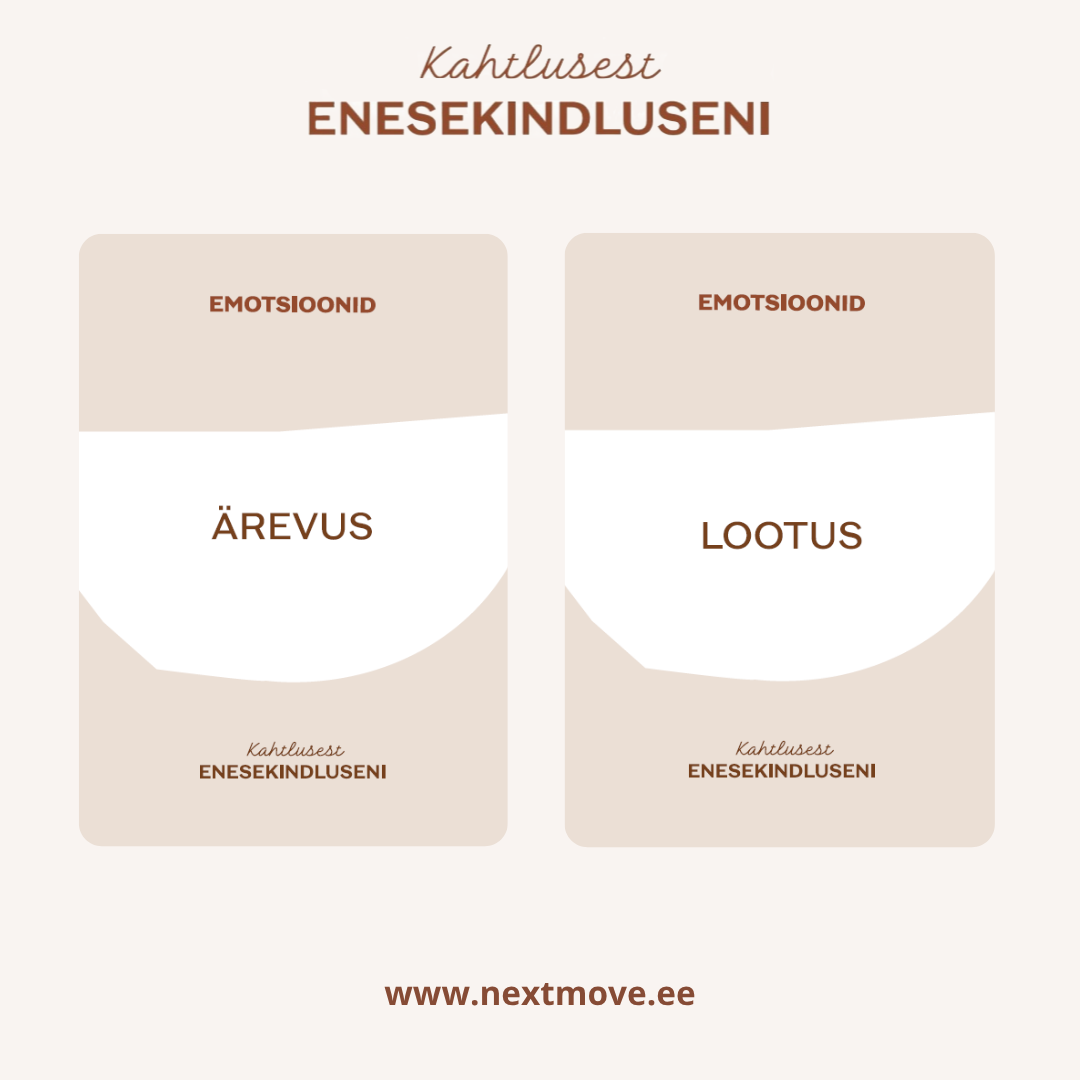 Arengukaardid "Kahtlusest enesekindluseni" - Image 6