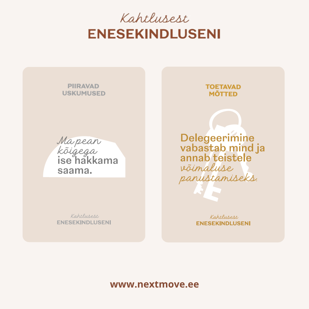 Arengukaardid "Kahtlusest enesekindluseni" - Image 3